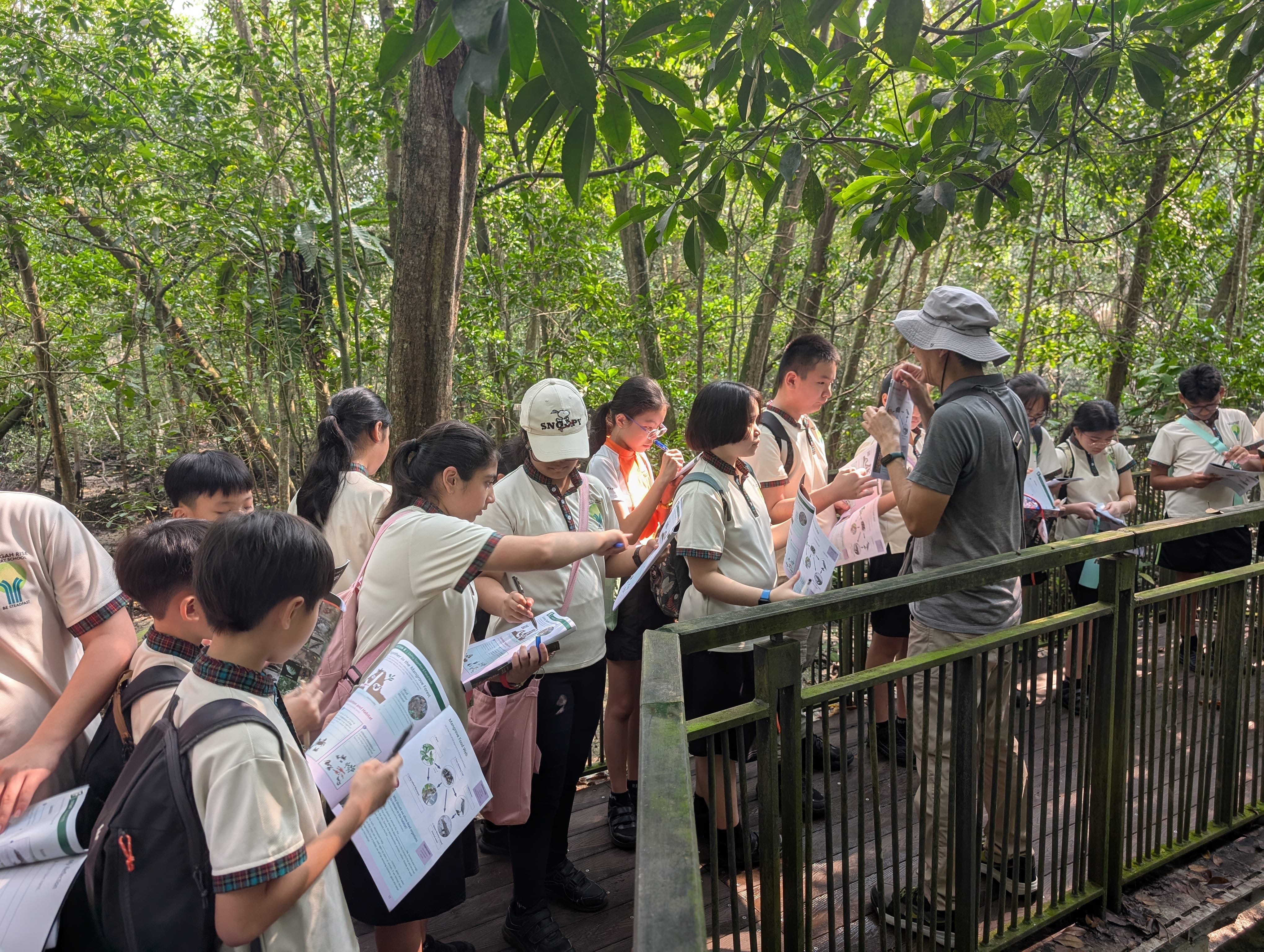 Group of students on a forest boardwalk listen to a guide and hold worksheets and notebooks.