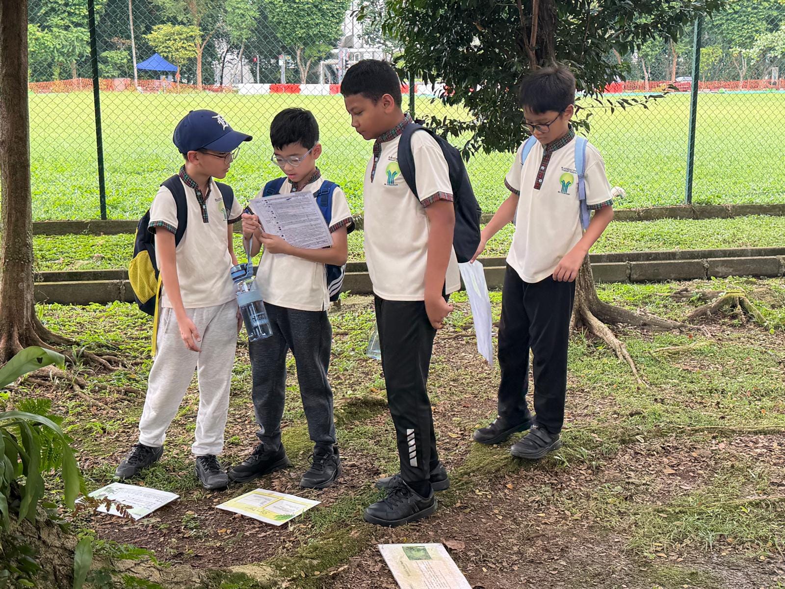 Four school boys in uniform stand outdoors near trees, looking at papers on the ground during a field activity.
