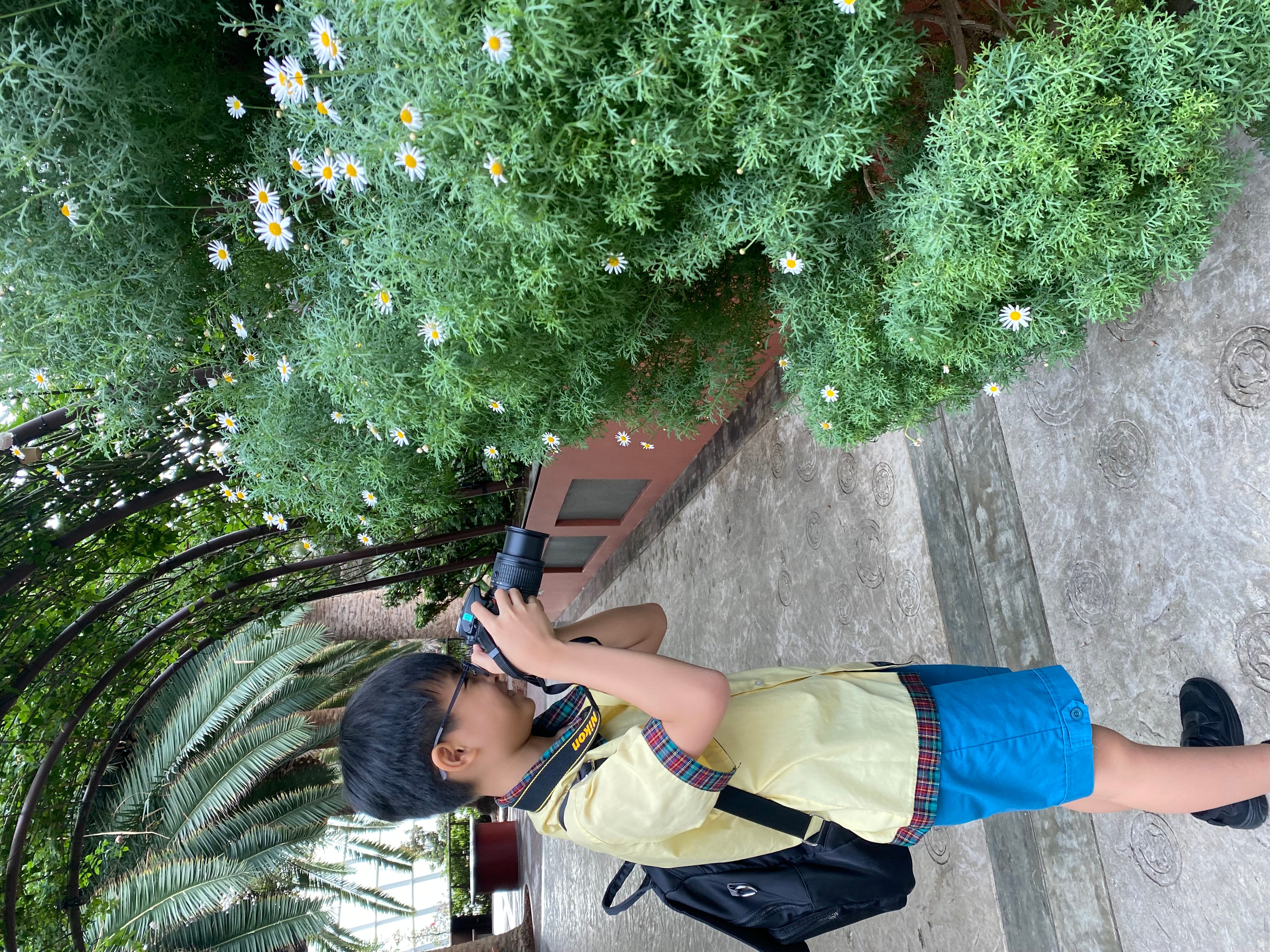 Child with backpack uses a camera to photograph white daisies beside a concrete walkway under trees.