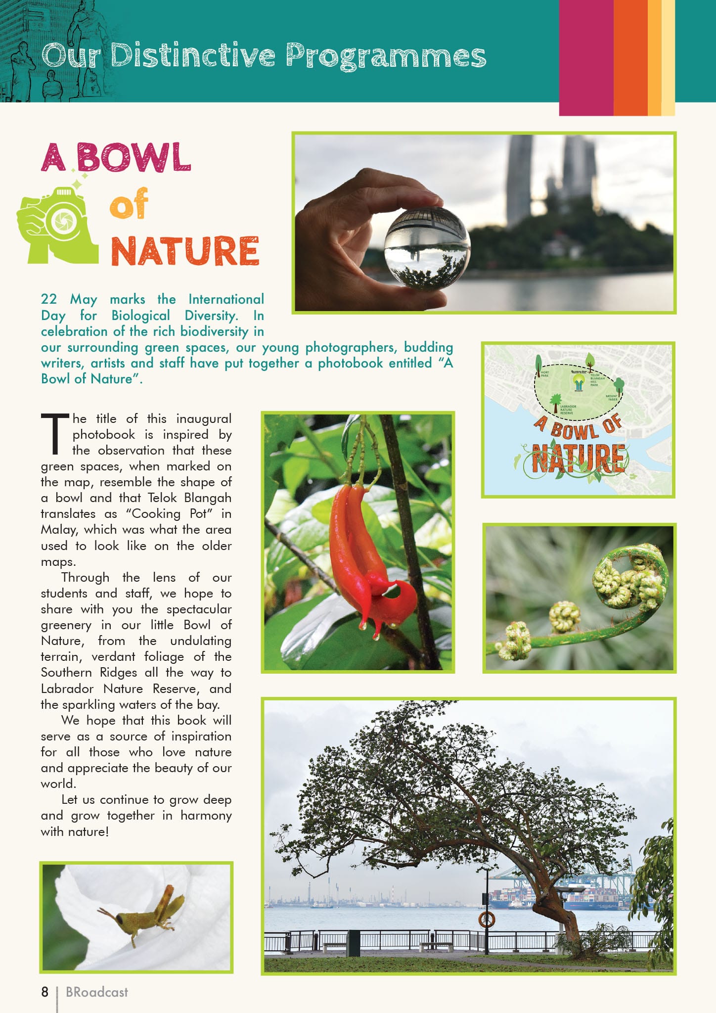 Magazine page titled "A Bowl of Nature" featuring nature photos of plants, a tree by the bay, and a crystal ball held outdoors.