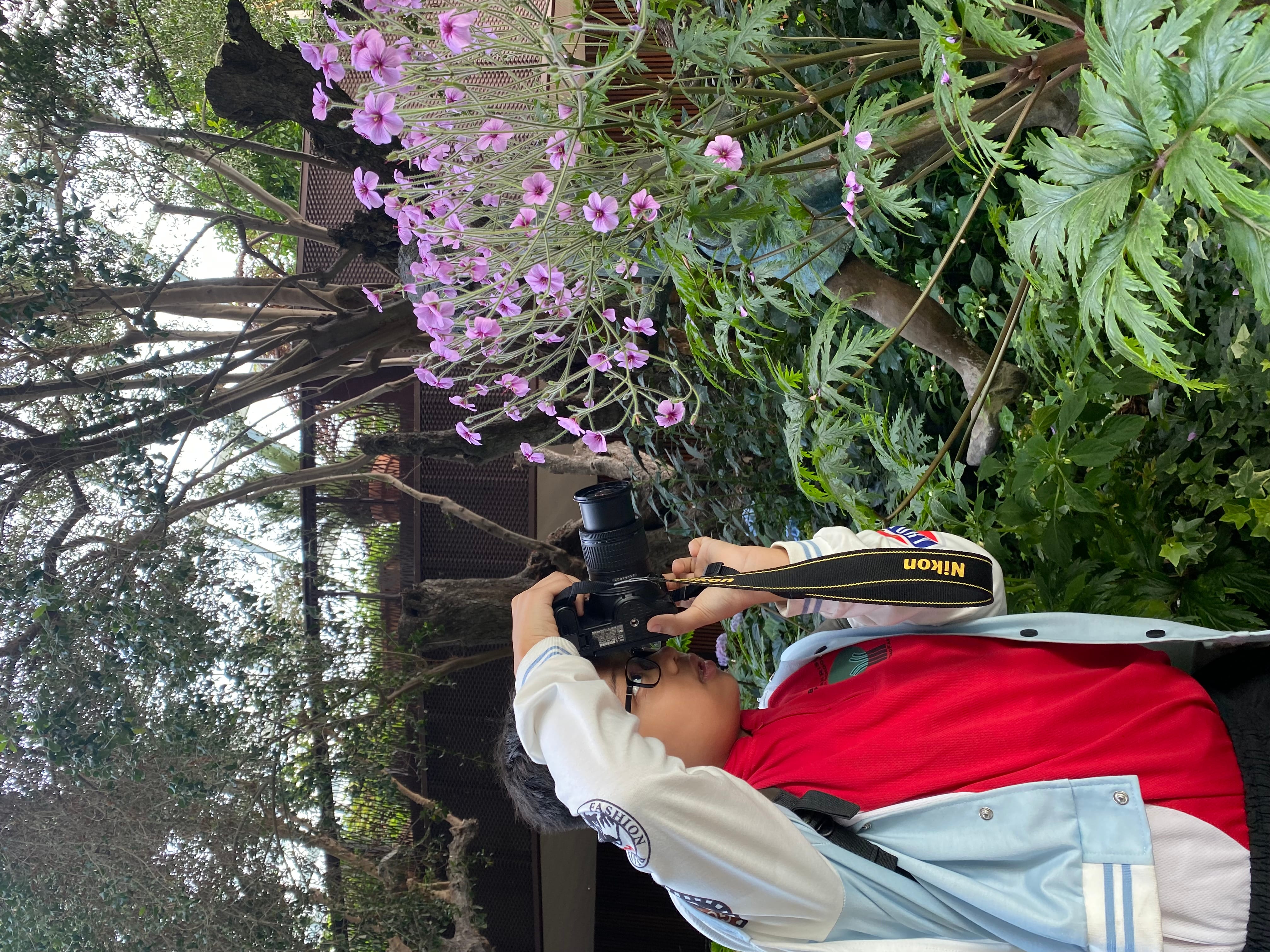 Person with glasses aims a Nikon camera at pink flowers among dense green leaves in a wooded garden.