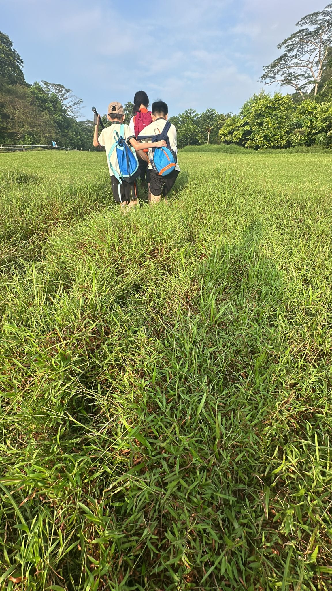 Three children with blue backpacks walk away across a grassy field toward trees under a blue sky.