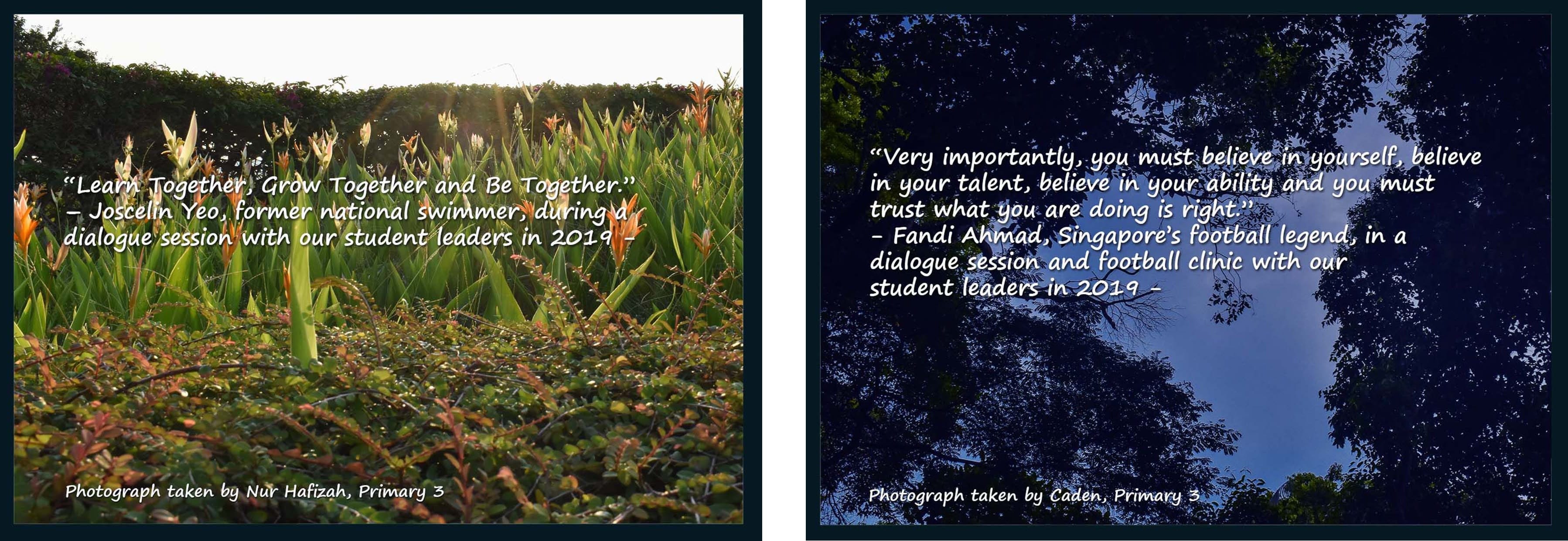 Two student photos: tropical plants with a motivational quote, and tree canopy against blue sky with an inspirational quote.