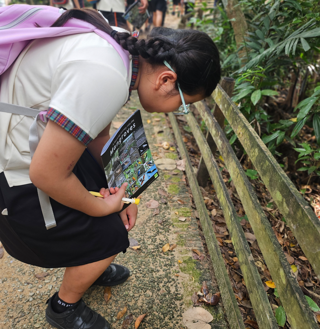 A young girl with a backpack bends down to examine a mossy fence on a mangrove nature trail, holding a guidebook.
