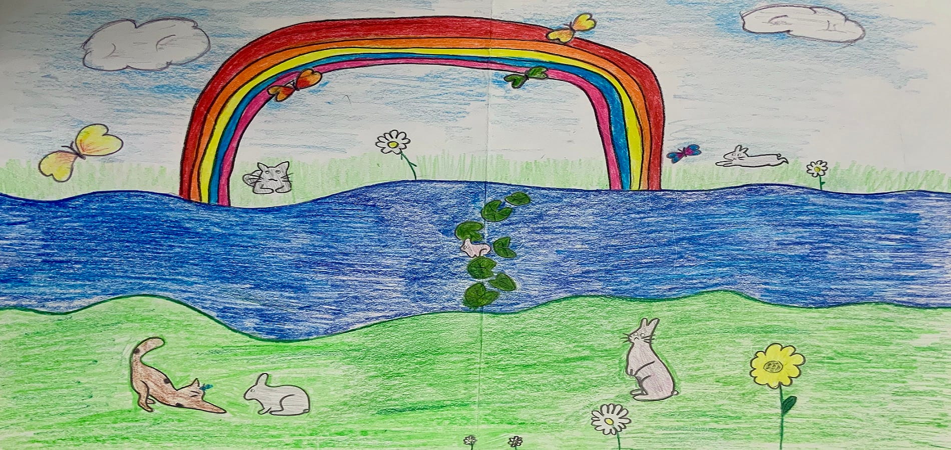 Child's colored pencil drawing of a rainbow over a river with rabbits, a cat, butterflies, and flowers on green grass.