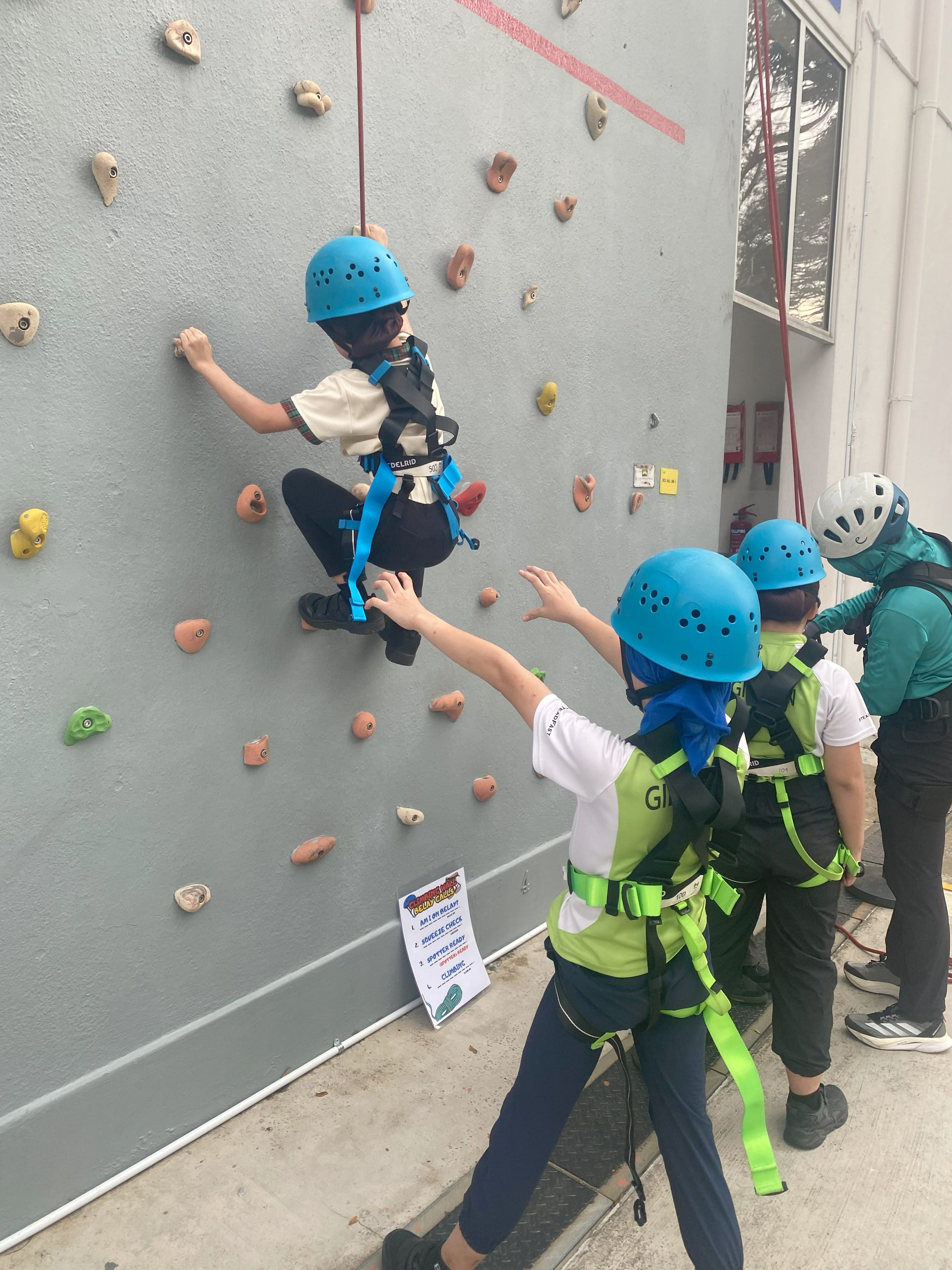 A child in a blue helmet and harness climbs an outdoor wall while others in helmets and harnesses watch below.