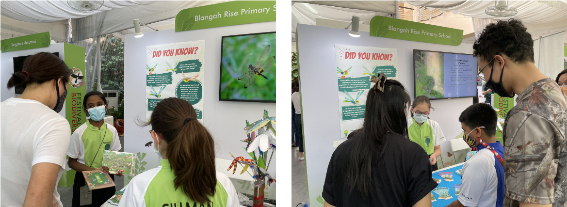 People wearing masks gather at a Blangah Rise Primary School booth with nature posters and colorful dragonfly models.