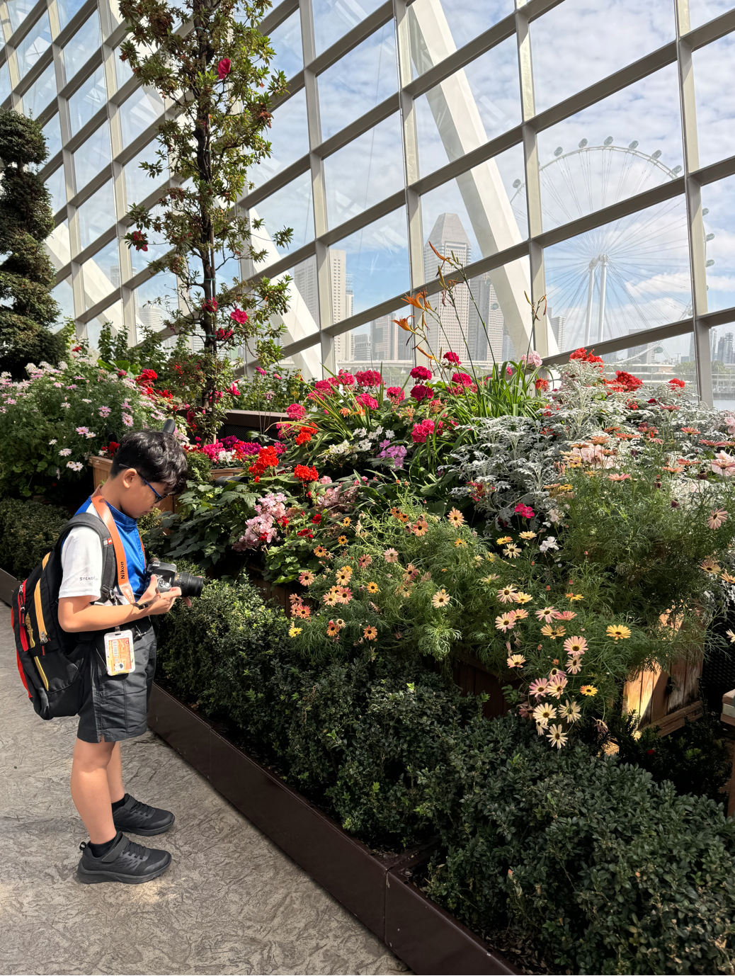 A young boy with a backpack photographs a colorful flower display inside a glass dome with a Ferris wheel visible outside.
