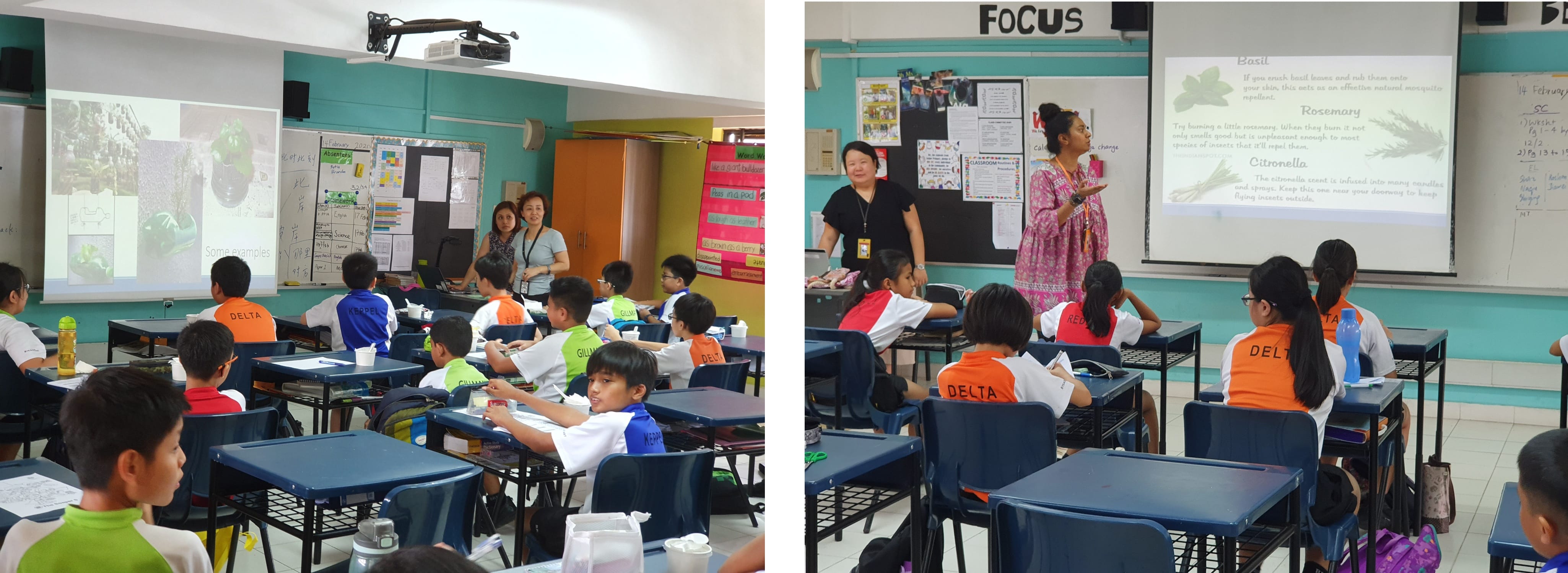 Two classroom scenes with teachers presenting projected slides to students seated at desks wearing colored vests.