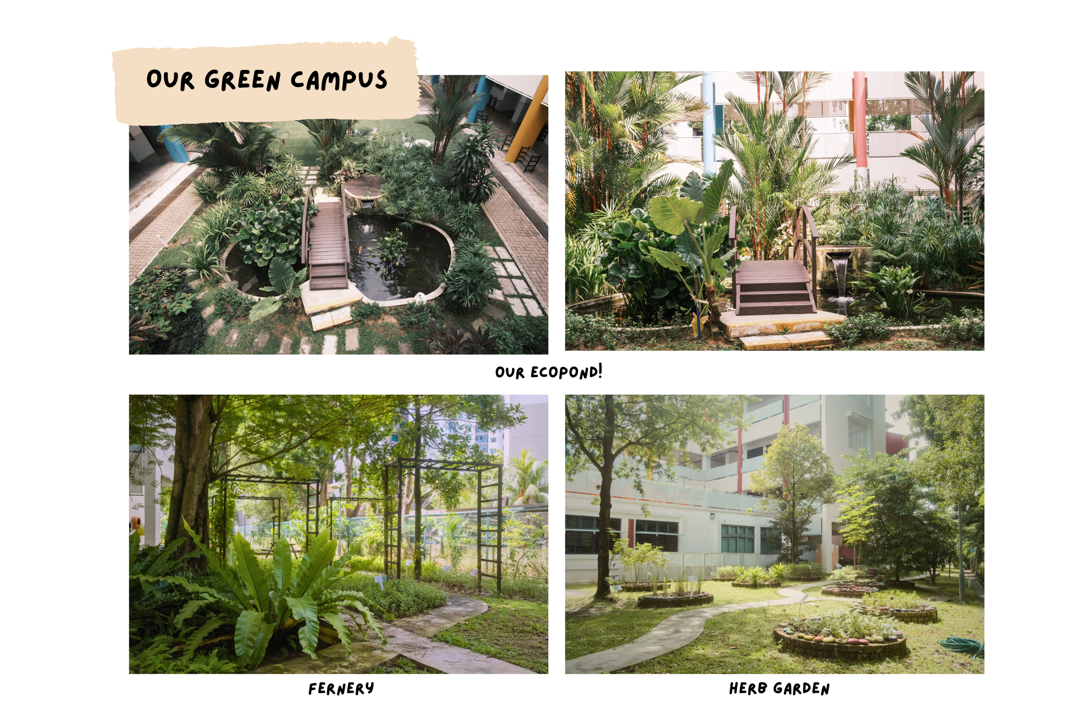 Collage titled Our Green Campus showing ecopond bridges, a fernery path, and a herb garden by buildings