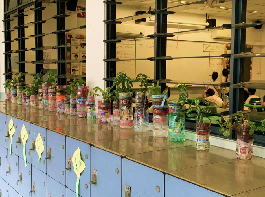 Small plants growing in decorated recycled plastic bottles lined up on a shelf outside a classroom.