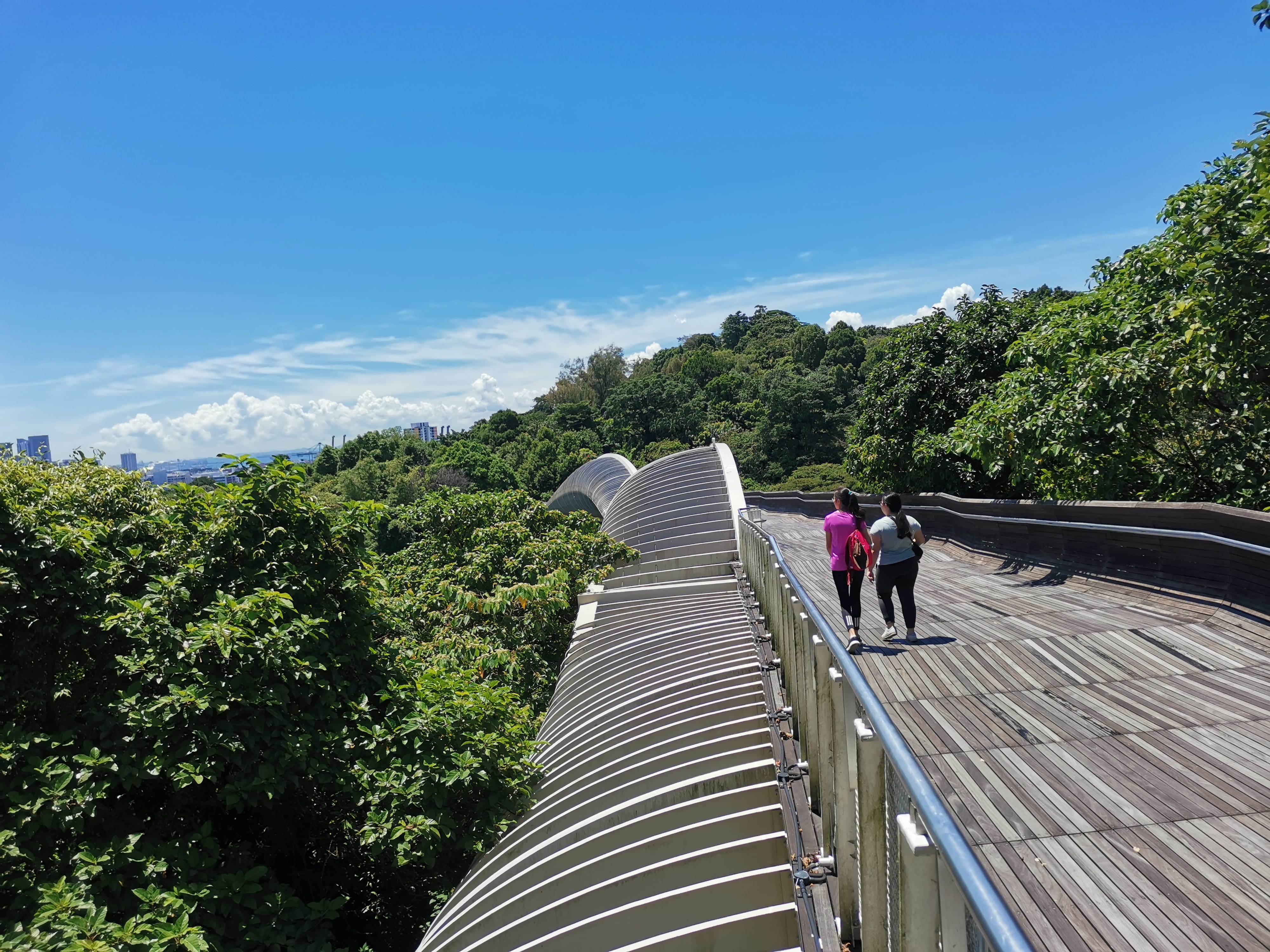 Photo of people walking on Henderson Wave bridge