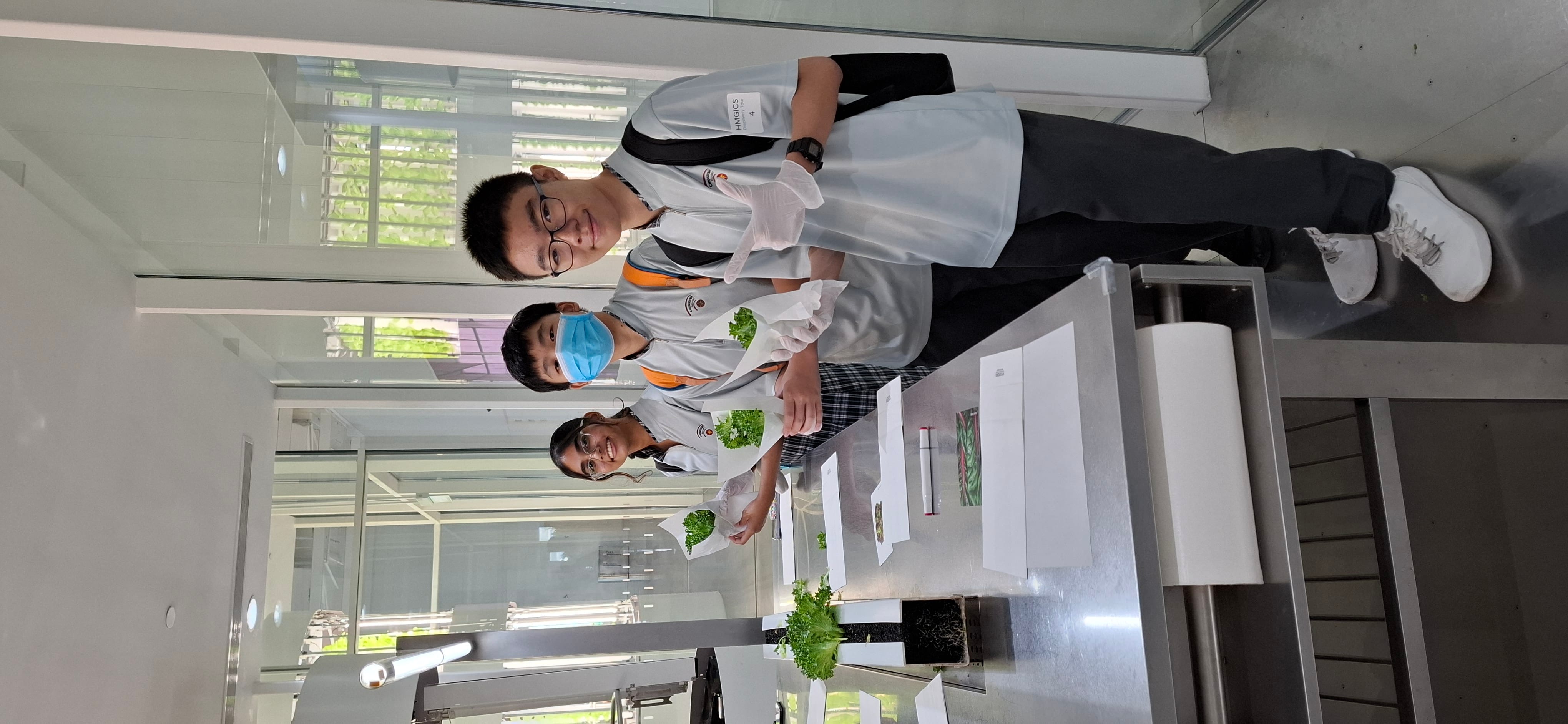 Three students in uniforms hold gloved hands with wrapped leafy plants beside a metal workstation indoors.