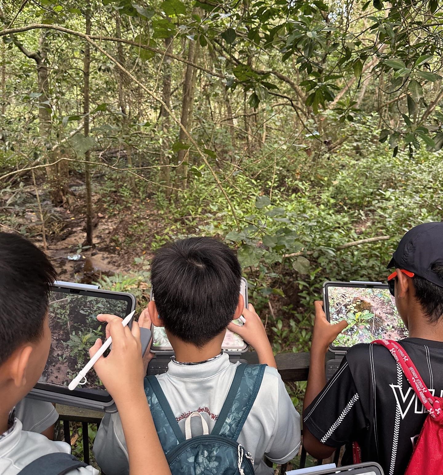 Three children stand on a forest walkway, each holding a tablet, photographing the surrounding trees and undergrowth.