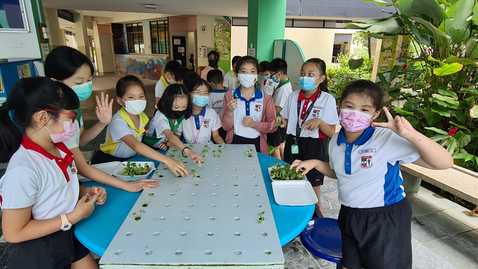 Young students wearing face masks stand around a table with seedlings and a hydroponic board at an outdoor school area.