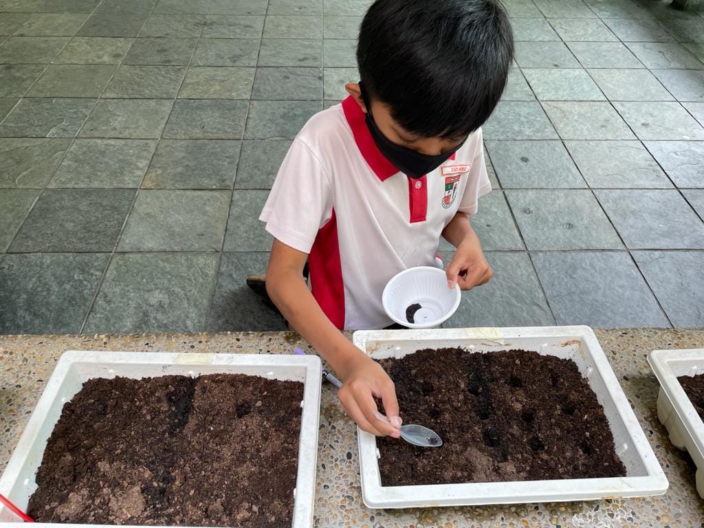 One school children in white and red uniform planting seeds in soil-filled trays on a tiled floor.