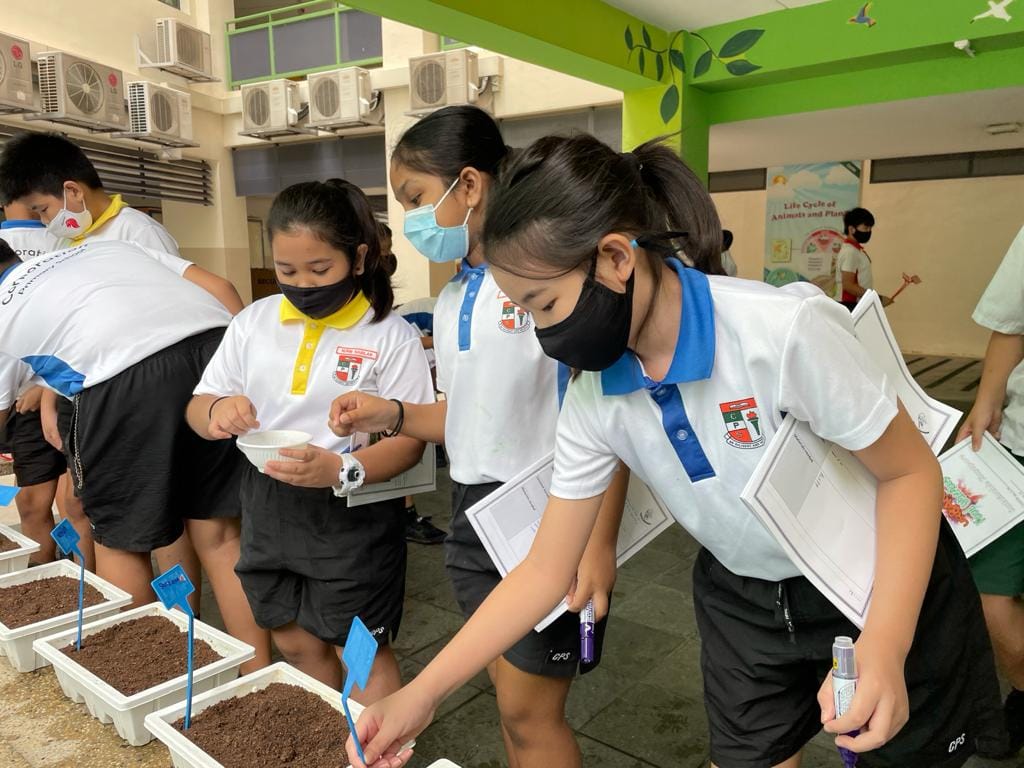 Students in school uniforms and masks lean over soil trays with blue plant markers during an outdoor science activity.