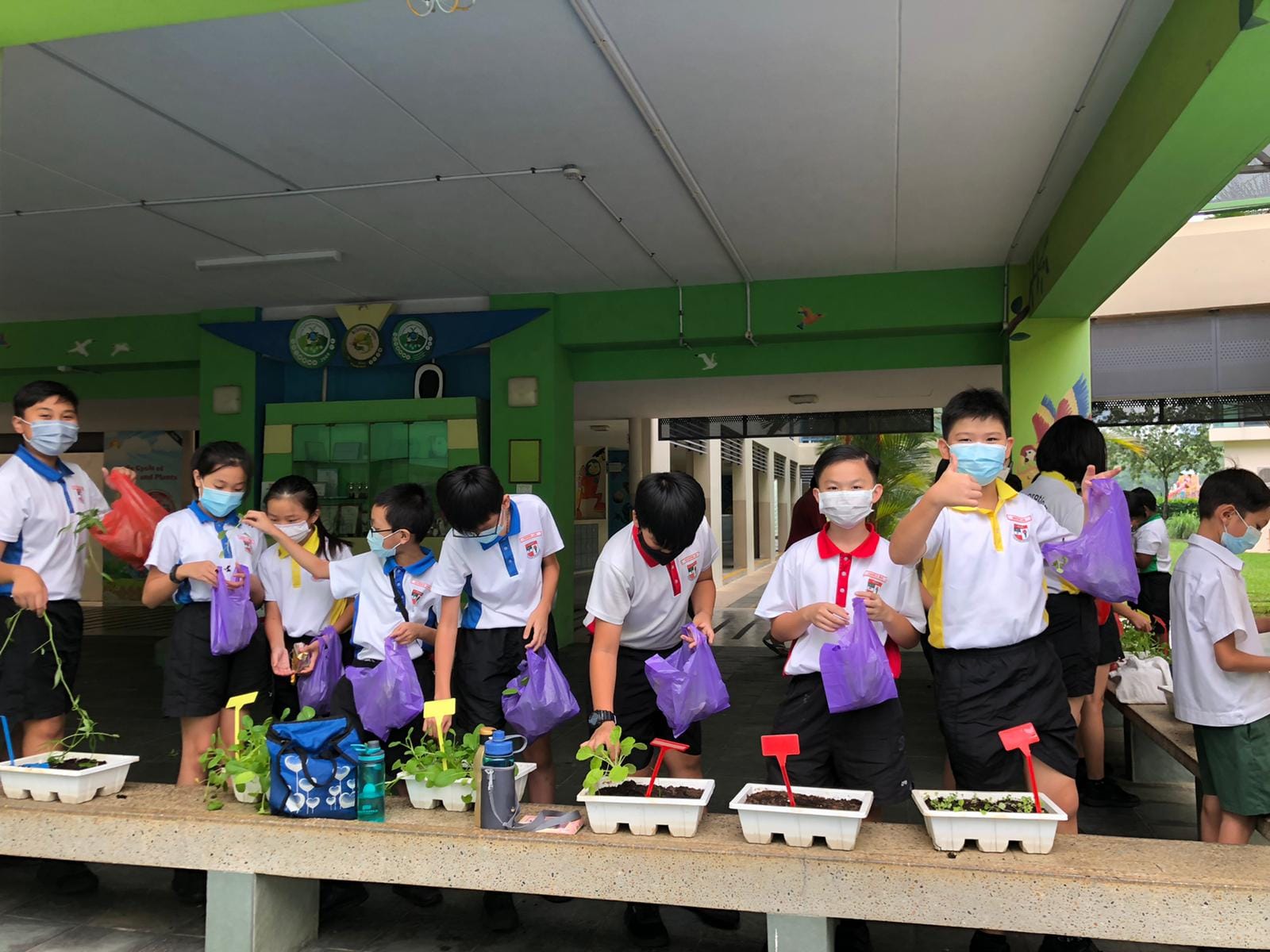 Masked school children in uniforms hold purple bags near trays of seedlings on a table outdoors.