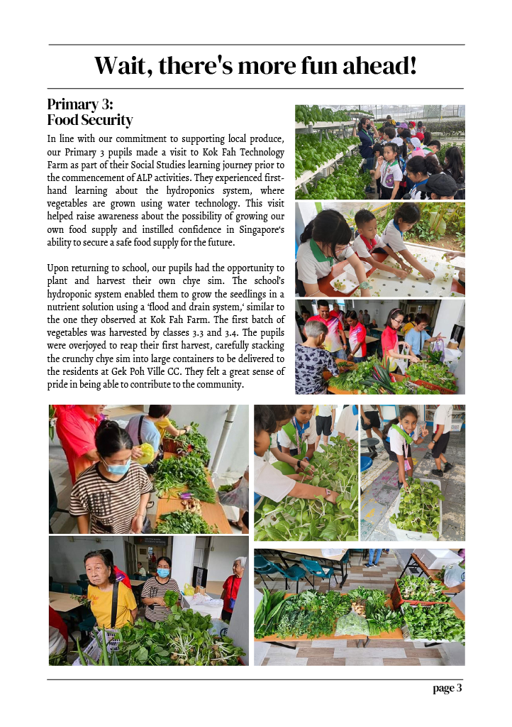 Newsletter page showing Primary 3 pupils visiting a farm and harvesting vegetables at school for food security learning.
