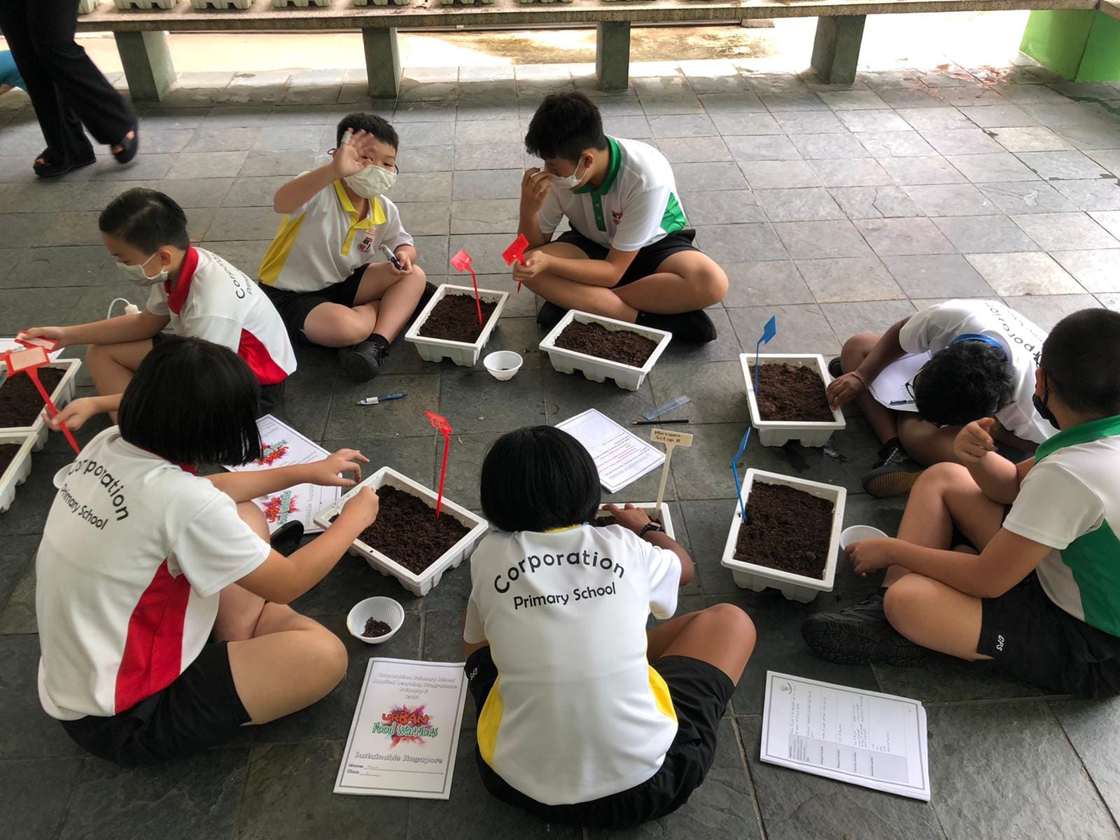Corporation Primary School students sit in a circle outdoors, planting seeds in soil trays with small flags and worksheets.