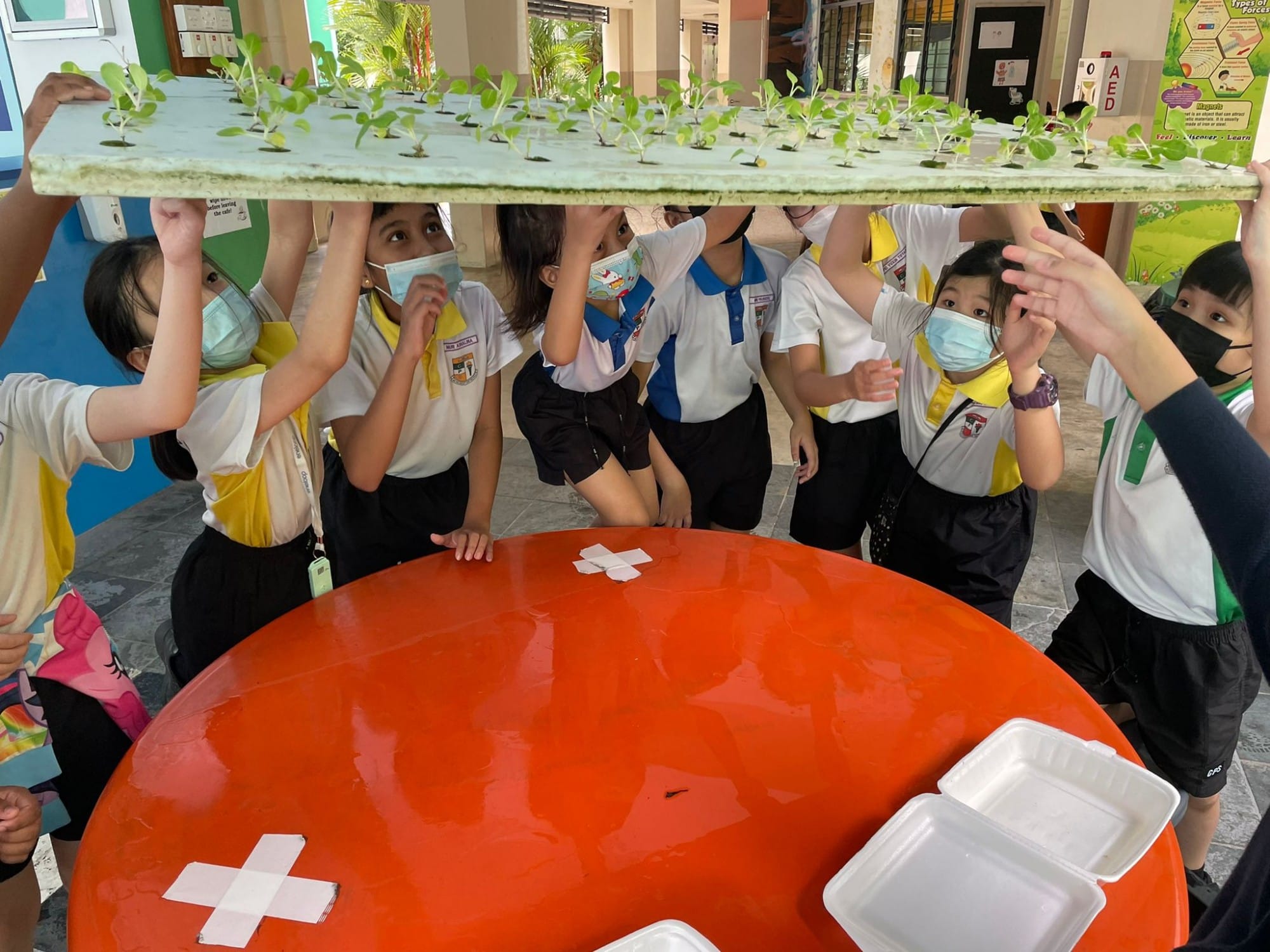 Young students in school uniforms and masks lift a foam tray full of small green seedlings above a round red table.