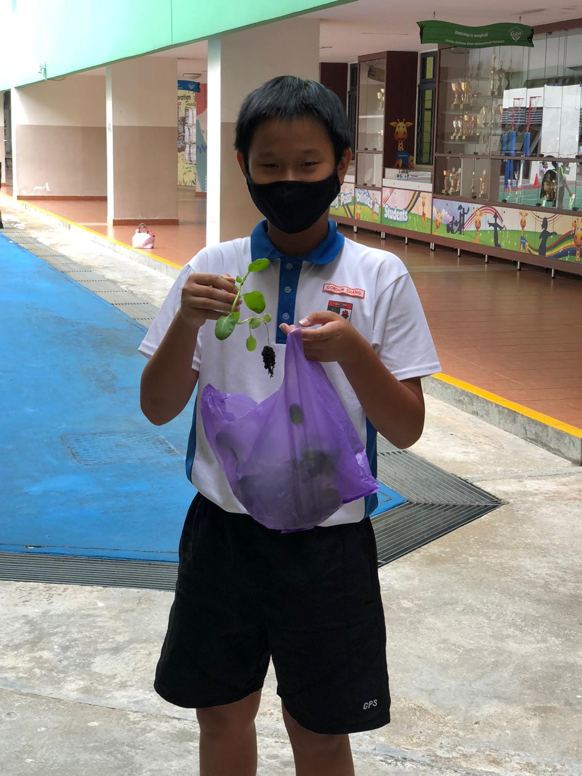 A masked student in school uniform holds a small green seedling with roots above a purple plastic bag outdoors.
