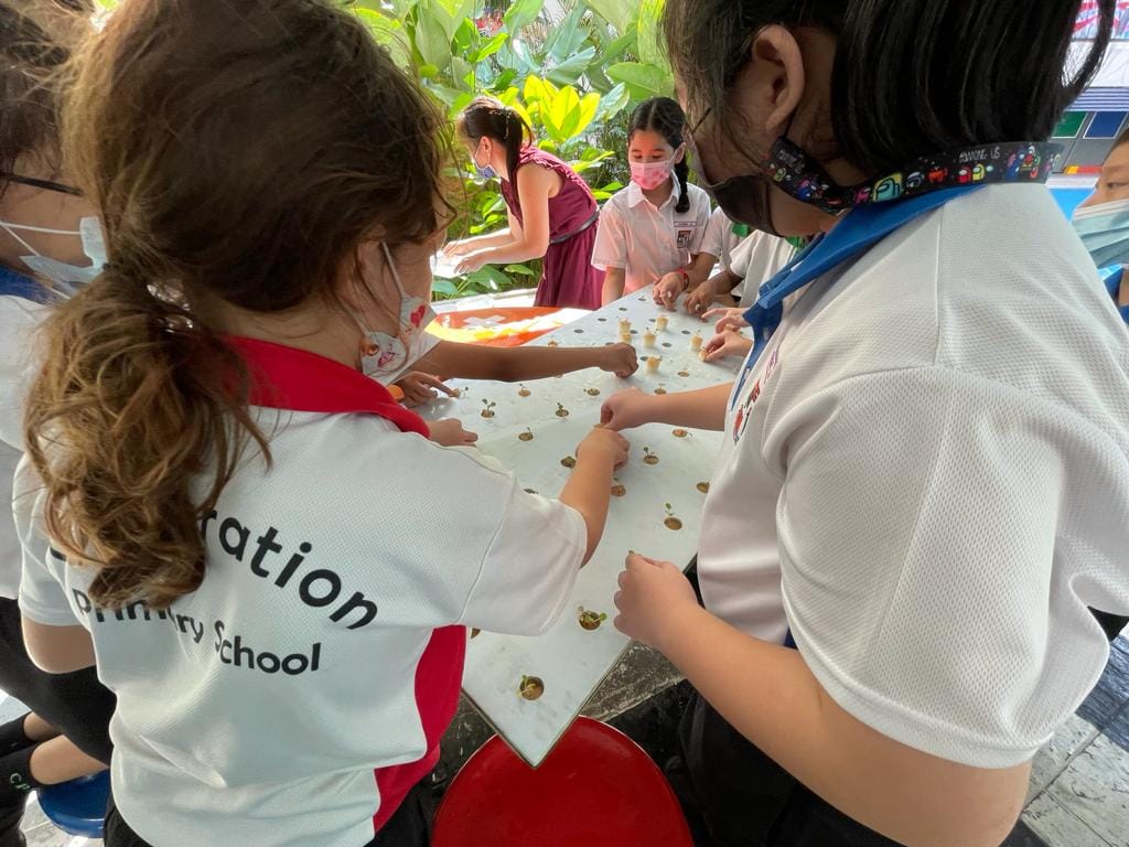 Children in school uniforms and face masks work together at a table with small seedlings outdoors.