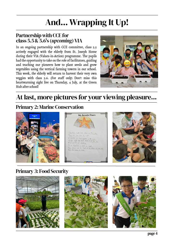 Newsletter page showing students doing marine conservation, food security, and a CCE partnership activity with elderly visitors.