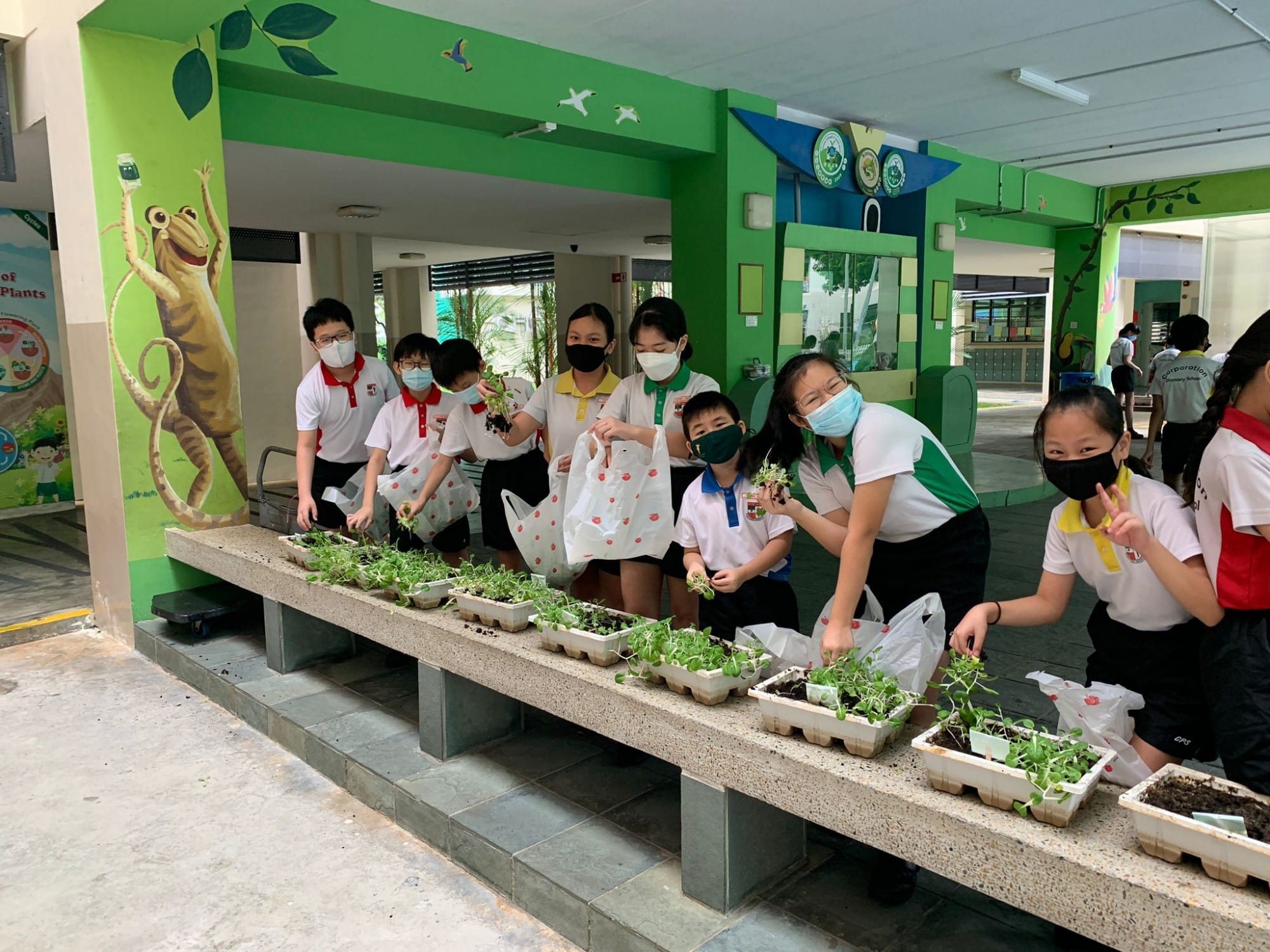Children wearing masks tend to seedlings in trays along a concrete bench at a colorful school corridor.