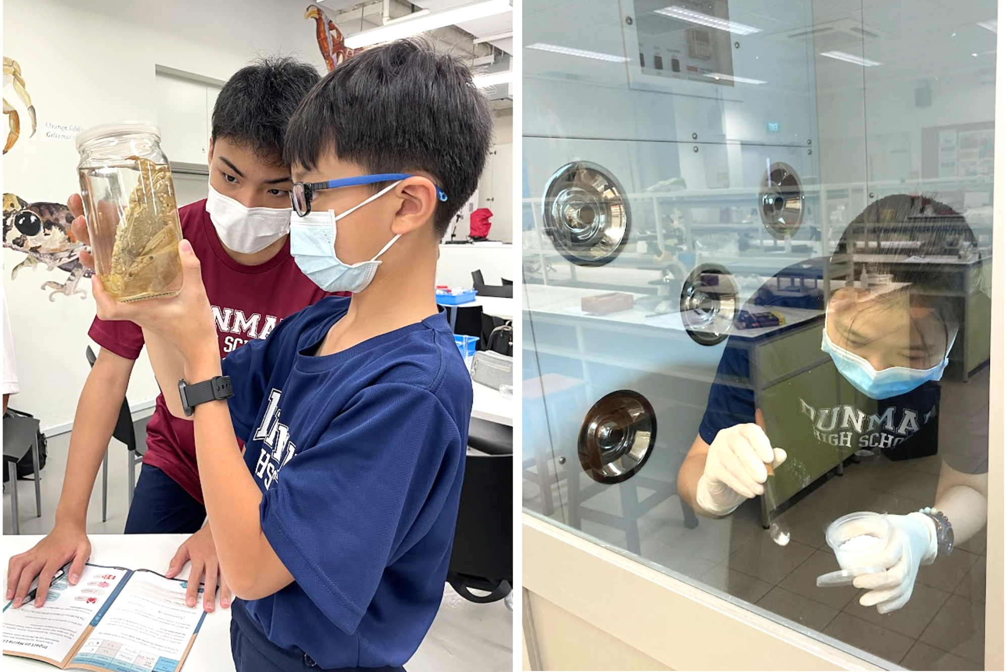 Two masked students examine a specimen jar in a lab; a third works with gloved hands inside a glass bios