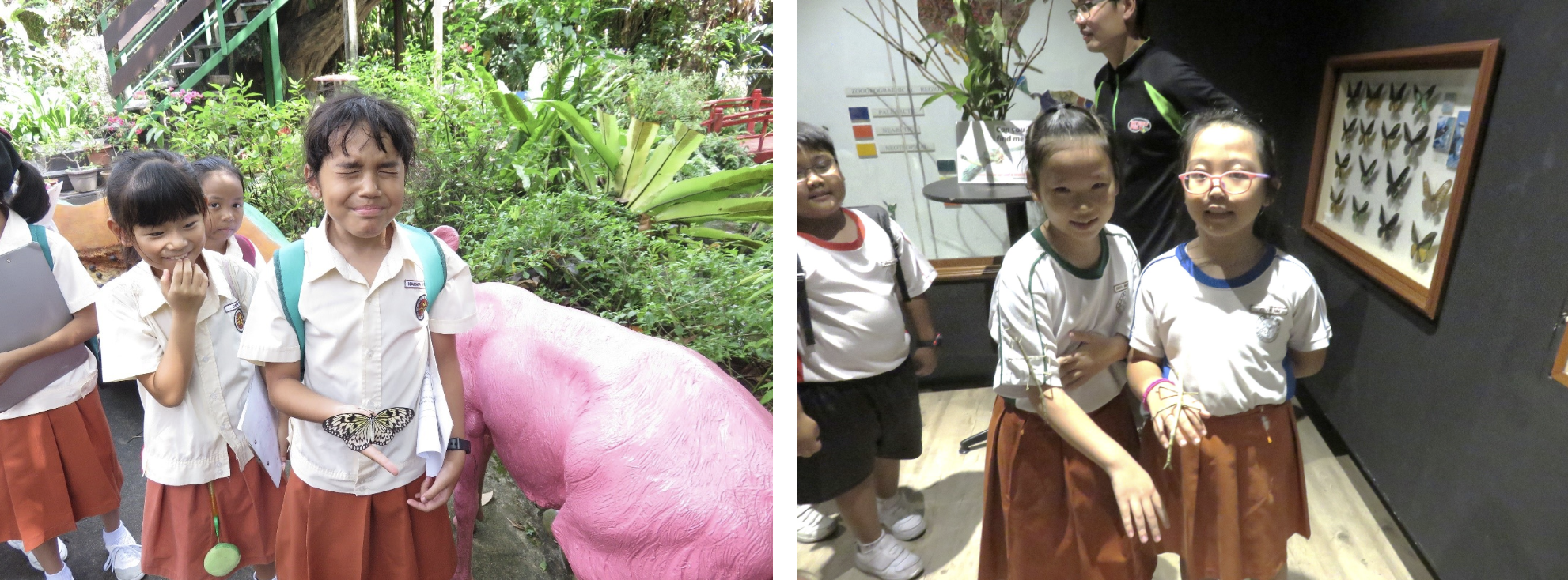 School children on a field trip; one has a butterfly on their shirt outdoors, others pose near a framed butterfly display indoors.