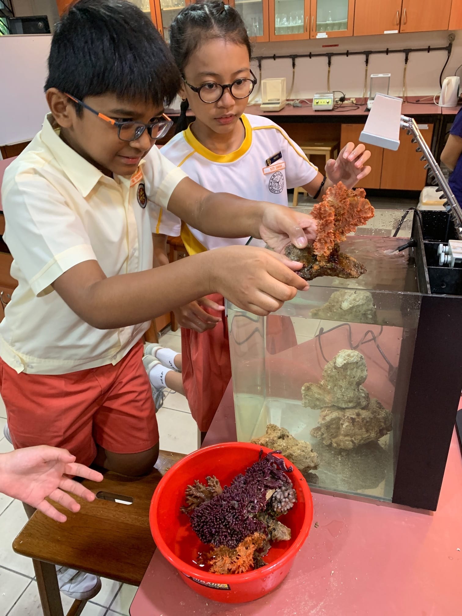 Two children in school uniforms handle orange coral near a tank with rocks, beside a red bucket of colorful corals.