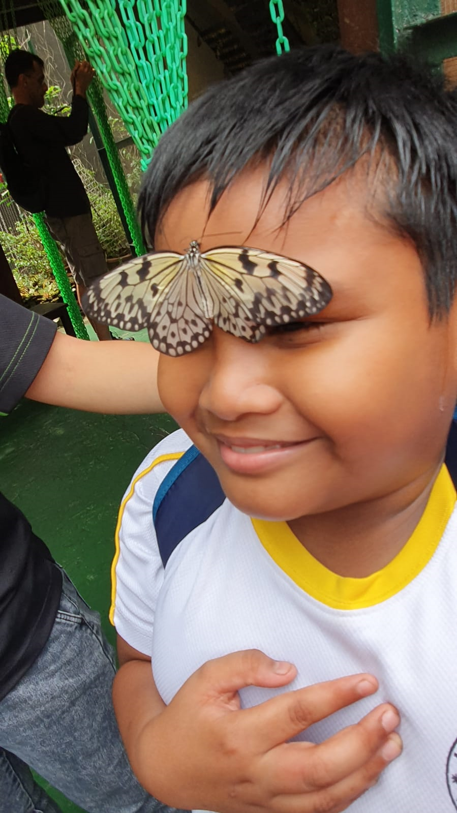 A smiling young boy with a large black and white butterfly resting across his eyes and nose.