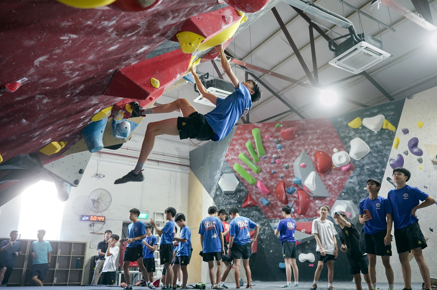 A young boy in a blue shirt climbs an indoor bouldering wall, gripping colorful holds while looking upward.