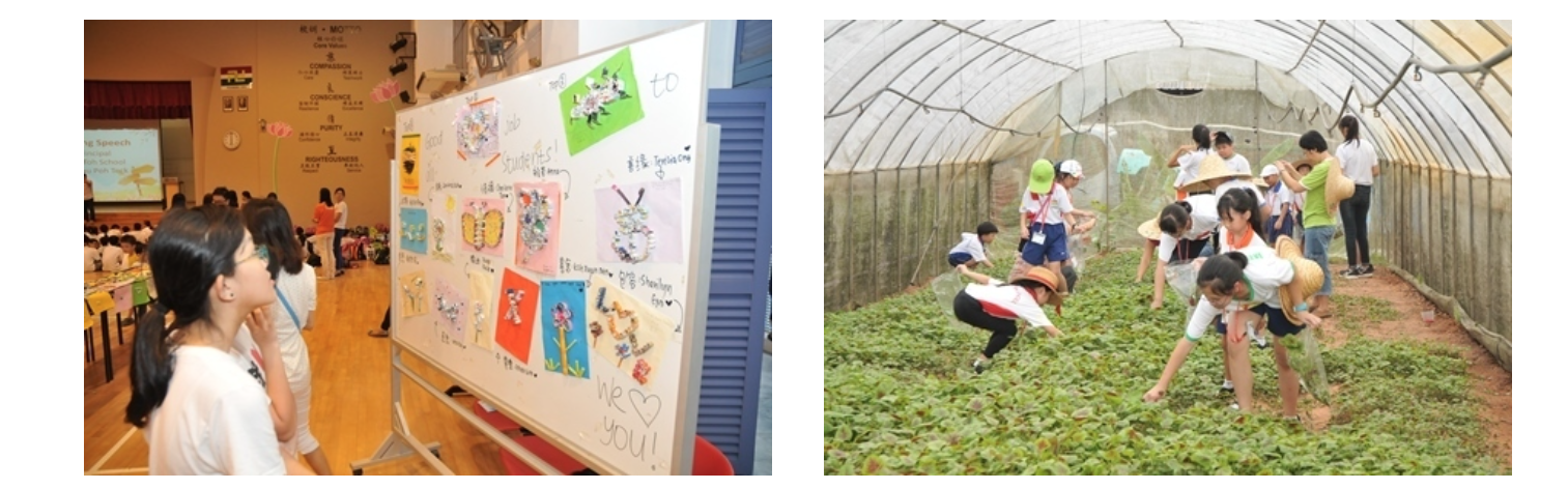 Two scenes: a girl viewing a decorated whiteboard, and children picking plants inside a greenhouse tunnel.