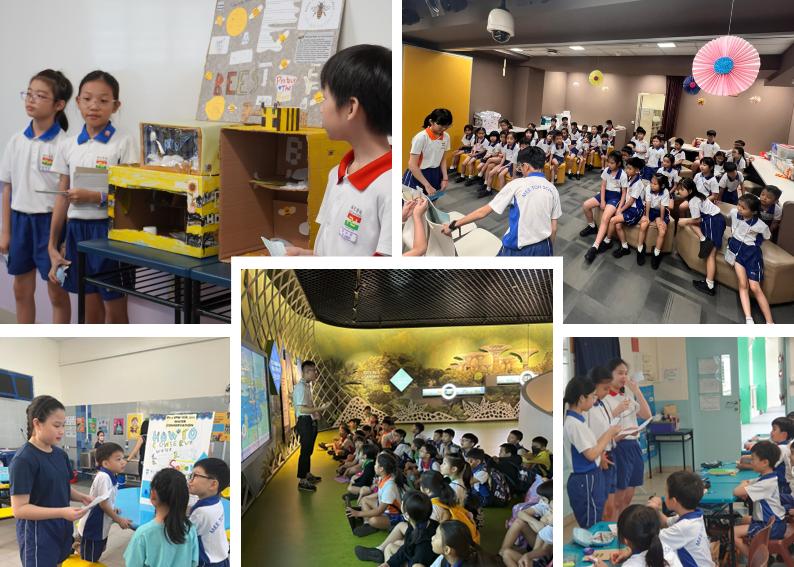 Five scenes of school children in uniforms doing presentations, attending talks, and participating in educational activities.