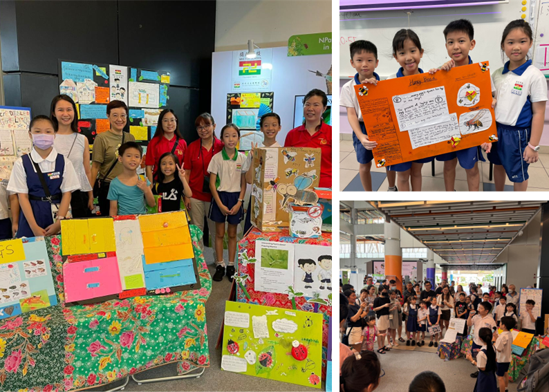 Children and adults display colorful handmade posters and project boards at a school science fair event.