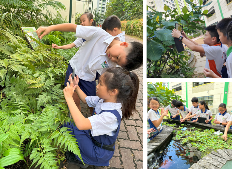 Students in school uniforms explore plants and a pond outdoors, using tablets to observe and record nature.