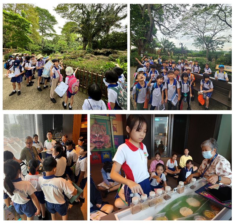 Four scenes of school children on a field trip, exploring a zoo and attending indoor educational sessions with guides.