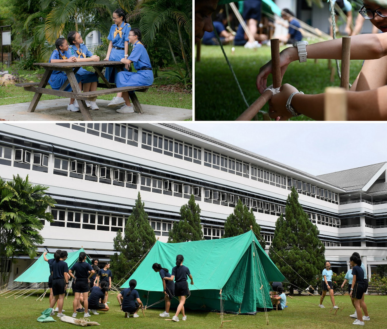 Students in scout uniforms sit at a picnic table, lash wooden poles, and set up green tents on a school field.