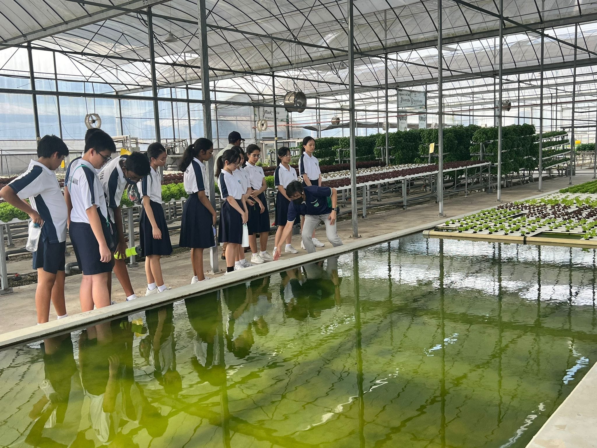 Ngee Ann Secondary students stand beside a green water tank in a greenhouse with rows of plants grown in hydroponics.
