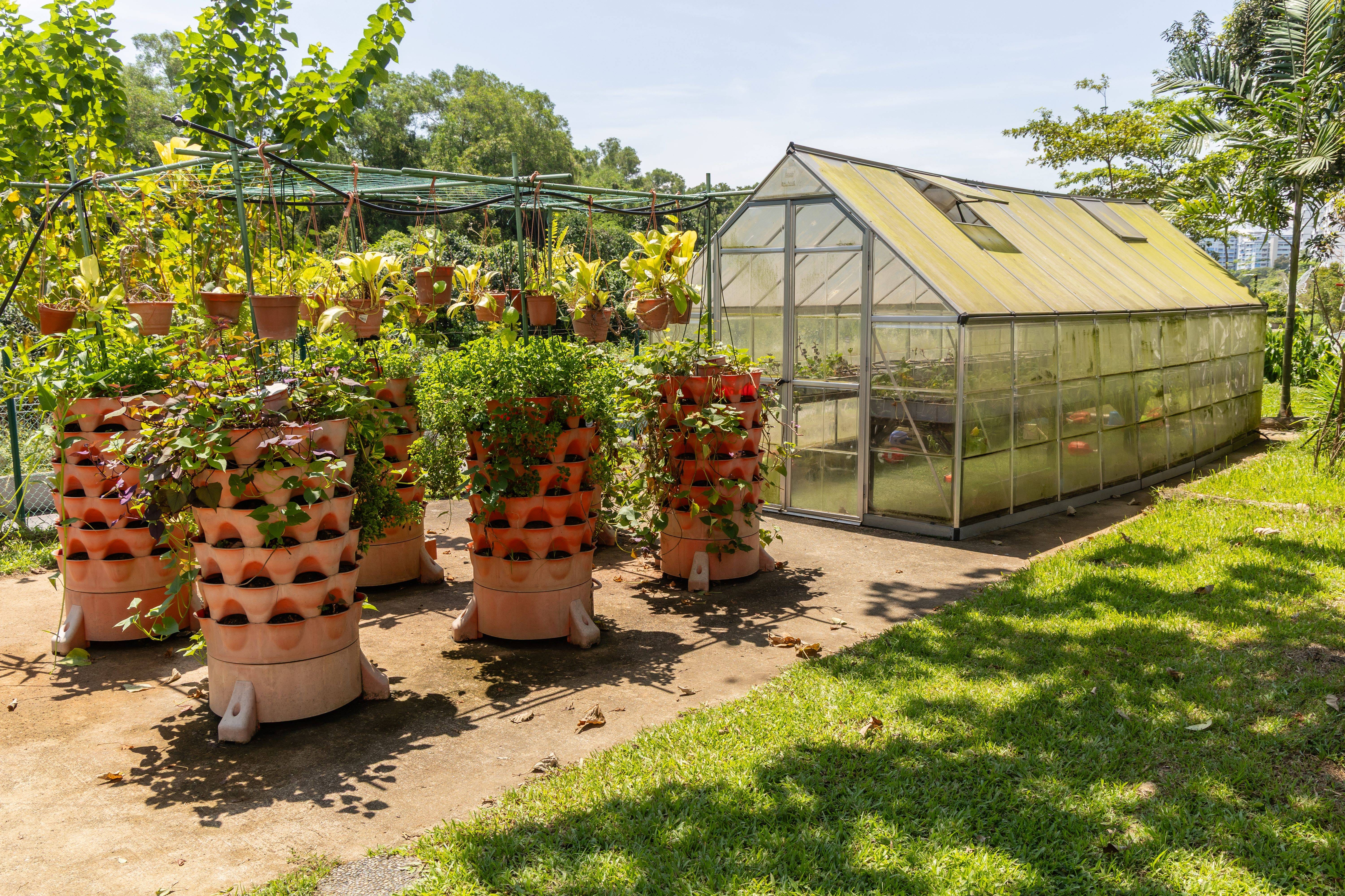 Greenhouse beside rows of stacked planter towers and hanging pots in a sunny garden plot