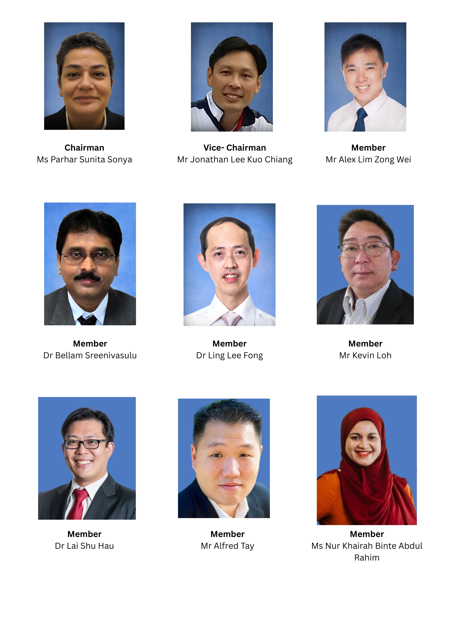 Nine headshots of committee members including a Chairman, Vice-Chairman, and seven Members with names labeled.