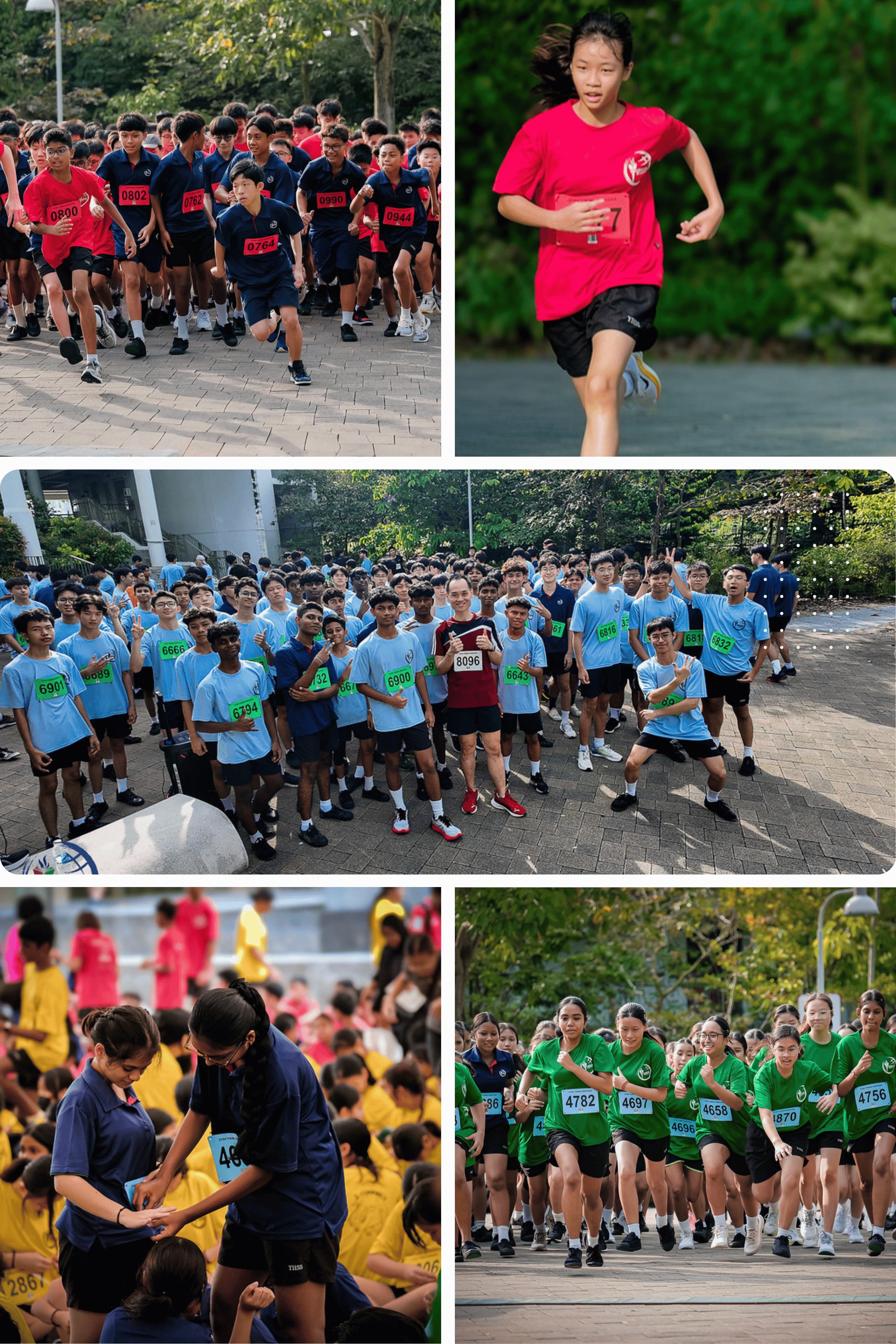 Students wearing numbered bibs participate in a school running event, shown racing and posing in group photos outdoors.