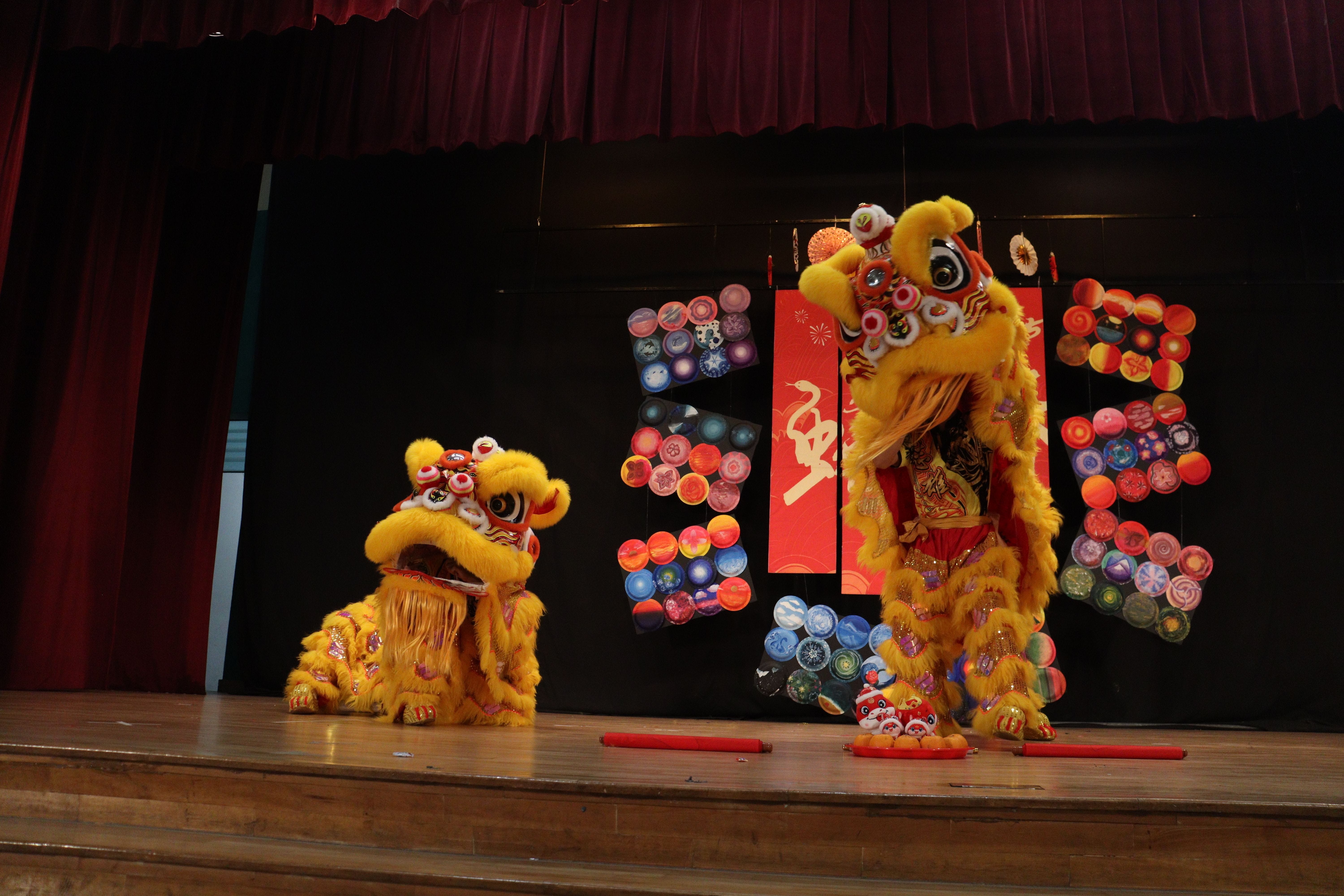 Two yellow Chinese lion dance costumes perform on a wooden stage with colorful circular decorations and red banners.