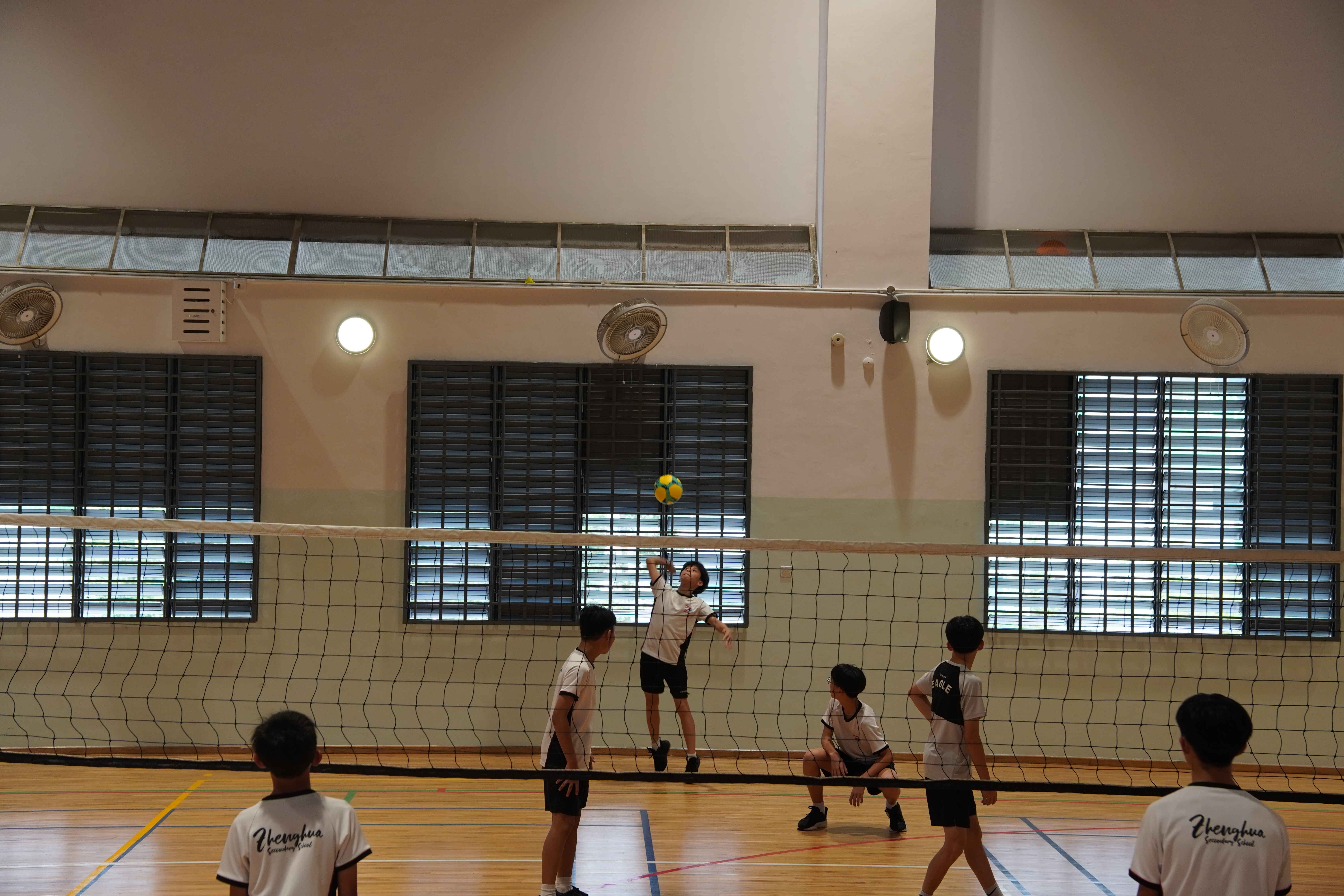 Volleyball