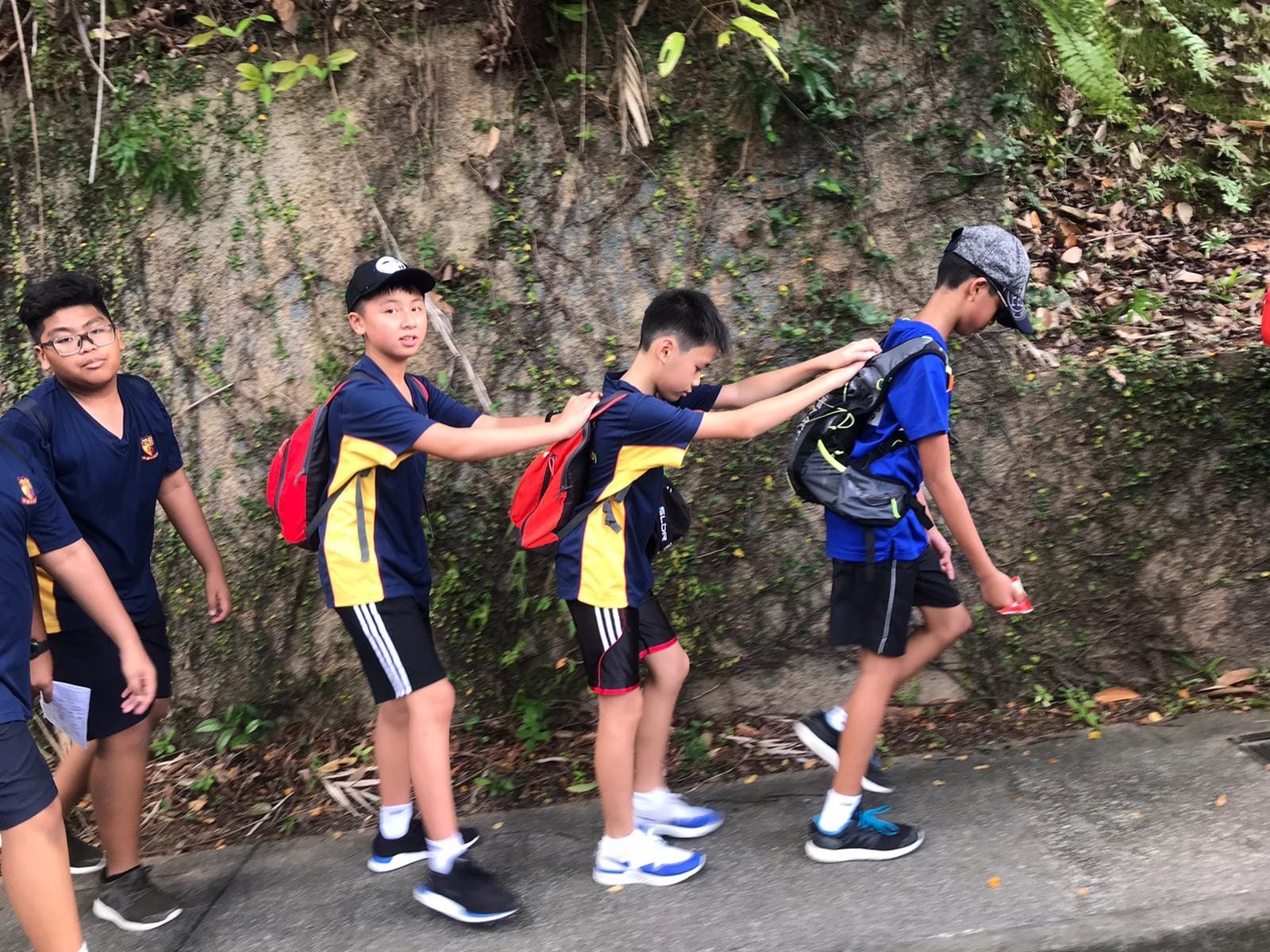 Students with backpacks walk along a path beside a mossy stone wall with greenery.