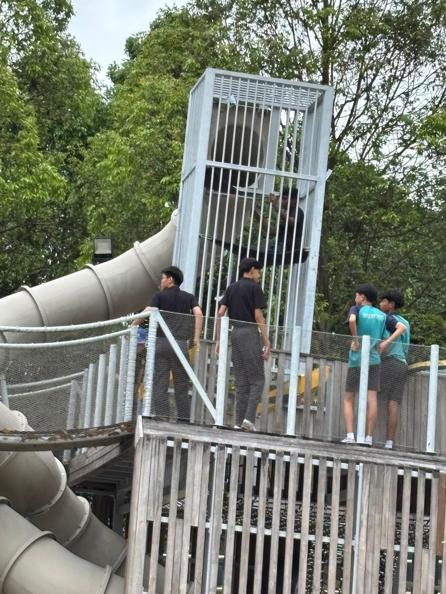 Several teenagers stand on a wooden elevated platform near a metal cage tower and large tube slide, surrounded by trees.
