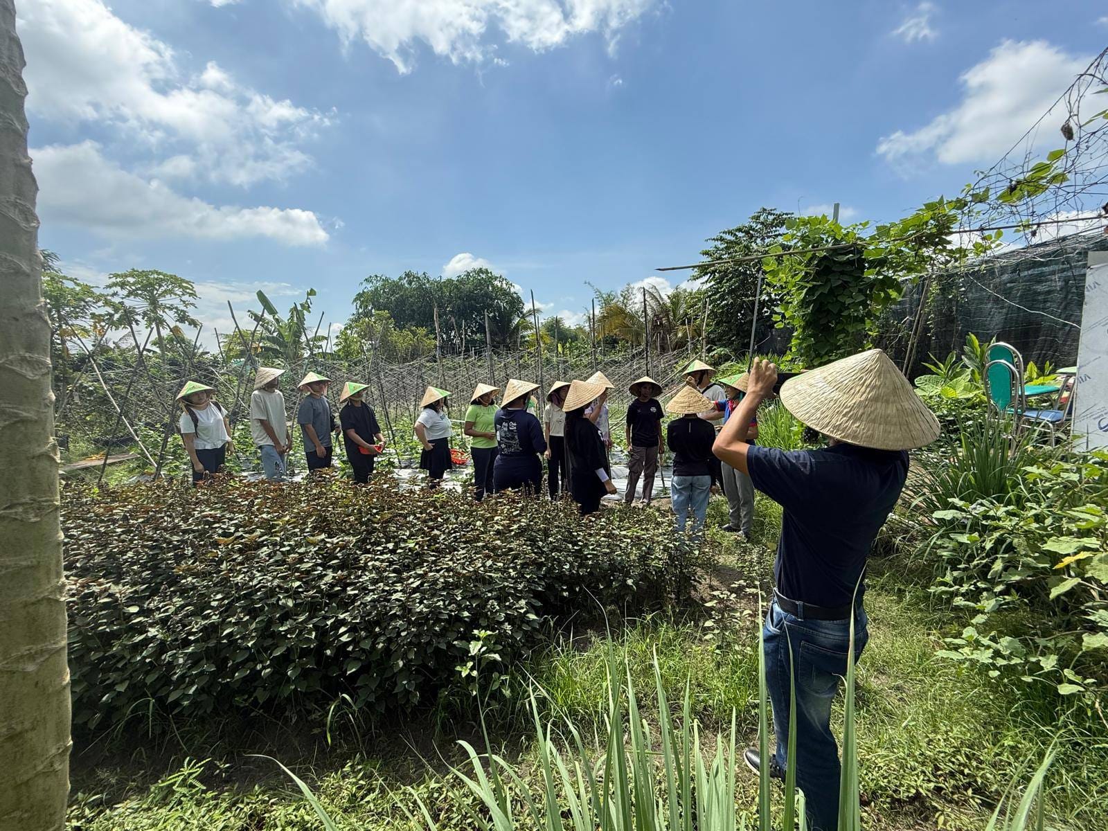 Please add an alternate text for this imageA group of people wearing conical hats standing in a garden