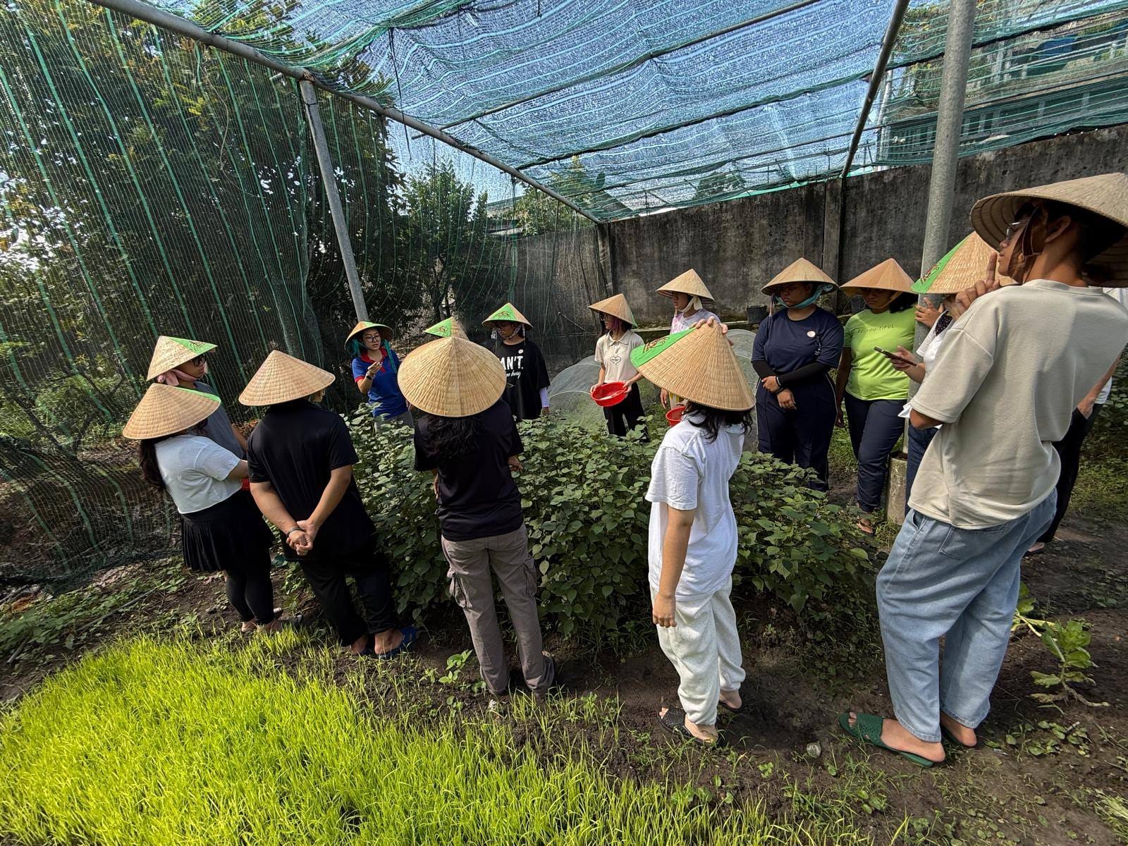 A group of people wearing conical hats standing around a bush